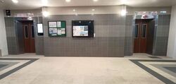 Blk 507 Elias Parks Estate (Pasir Ris), HDB Executive #565841311